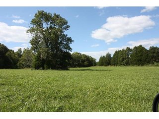 Property photo 6 - LAND AUCTION - 261+/- ACRES IN BRECKINRIDGE COUNTY